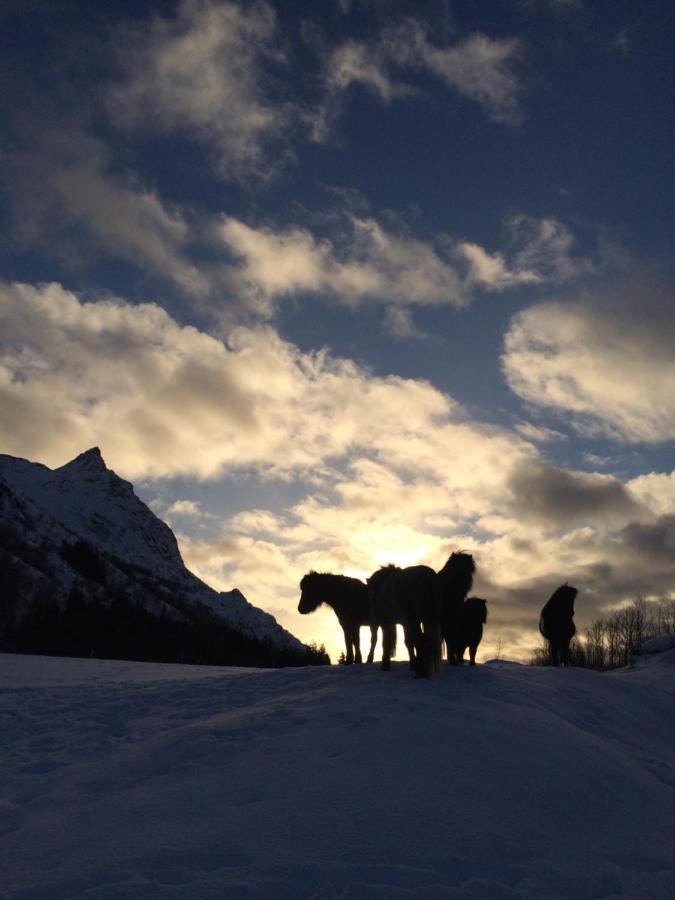 Flo Lofoten Nature Escape Valberg Екстериор снимка